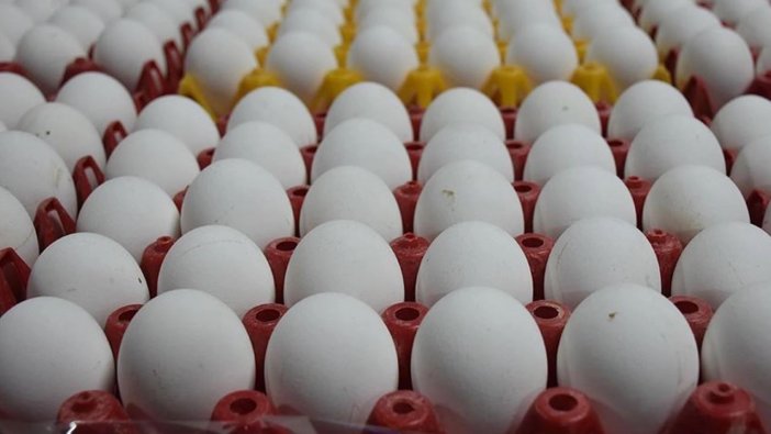 3 yılda yumurtaya dev zam: Koli ile almak lüks oldu!