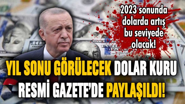 Yıl sonu görülecek dolar kuru resmen paylaşıldı! Resmi Gazete'de korkutan rapor