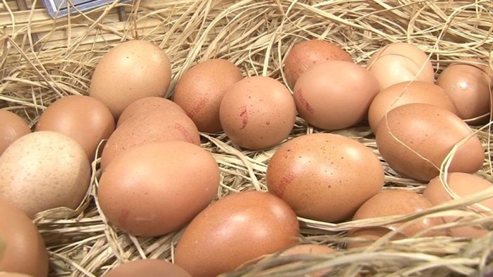 Vatandaşın bükülen beli kırıldı! Yumurta yemek artık lüks oldu