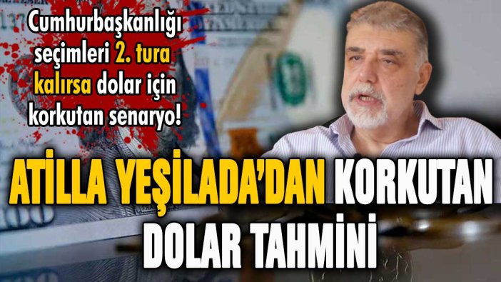 Ünlü ekonomist Atilla Yeşilada'dan korkutan dolar tahmini: ''Seçim 2. tura kalırsa...''