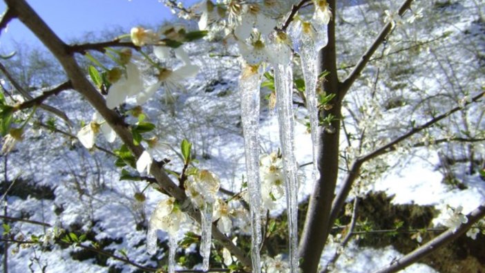 Meteoroloji'den 5 ile don uyarısı!