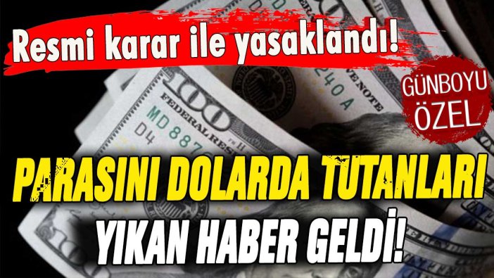 Parasını dolarda tutanları yıkan gelişme: Resmi karar ile yasaklandı