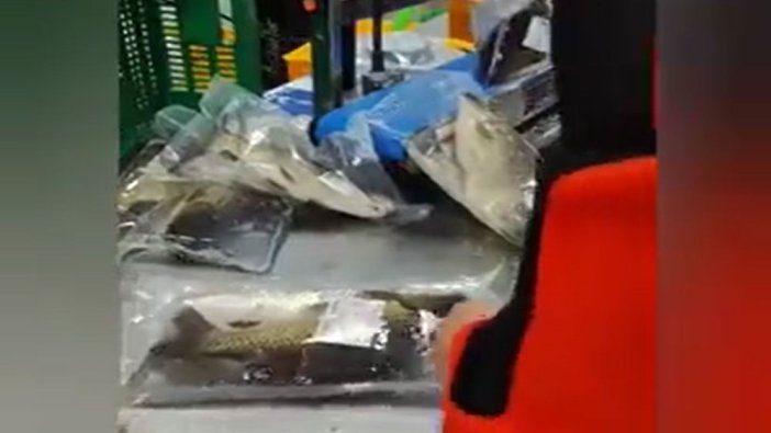 Büyük tepki çekti! Balıkları canlı olarak paketleyip satışa sundular