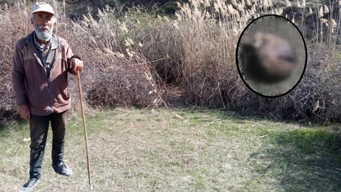 Ankara'da korkunç olay: Kafası koparılmış ceset bulundu