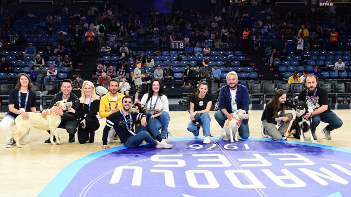 Anadolu Efes'ten alkışlanacak hareket: Depremzede köpekleri salonlarında ağırladılar