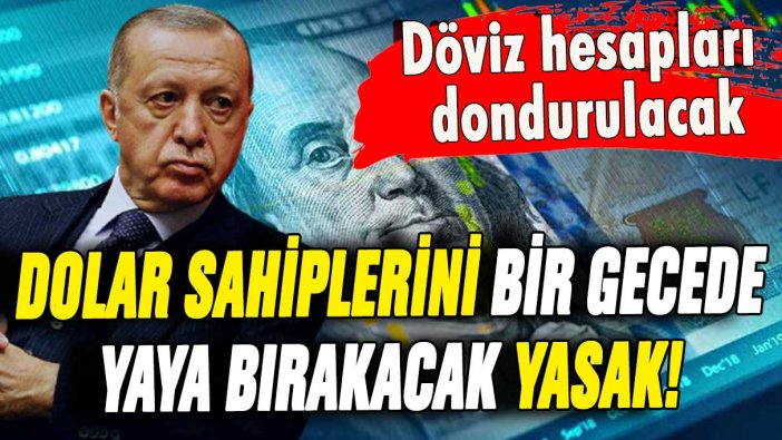 Dolar sahiplerini bir gecede yaya bırakacak yasak: ''Döviz hesapları dondurulacak''