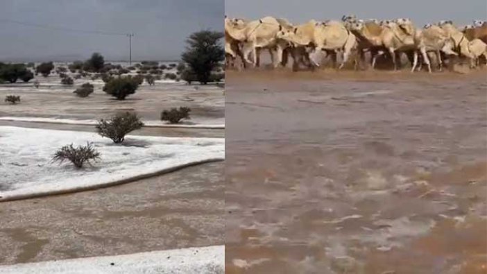 Suudi Arabistan’da tarihi günler! Çöller denize dönüştü