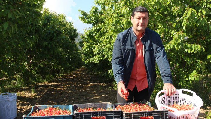 Sezonun ilk kirazı rekor fiyata satıldı