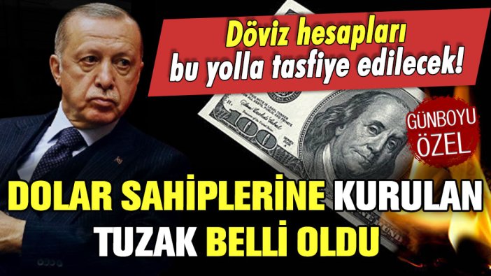 Dolar sahiplerine kurulan tuzak ortaya çıktı: ''Döviz hesapları bu şekilde tasfiye edilecek''