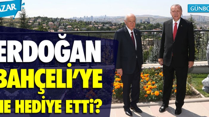 Cumhurbaşkanı Erdoğan, Devlet Bahçeli'ye ne hediye etti?