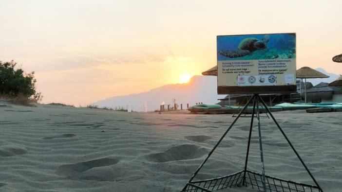 Antalya'da caretta caretta yavruları denizle buluştu