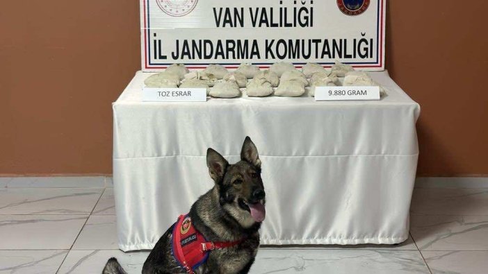 Van’da 9 kilo 880 gram toz esrar ele geçirildi