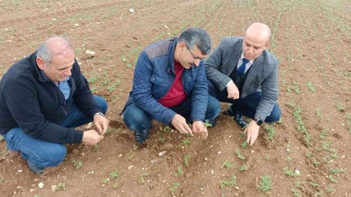 Hüyük’te araziler yağışlarla bereketlendi