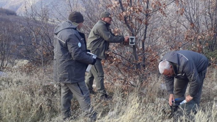 Elazığ’ın yaban hayatı fotokapanlar ile kayıt altına alınıyor