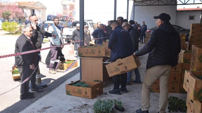 Sinop'ta çiftçilere sebze fidesi dağıtıldı