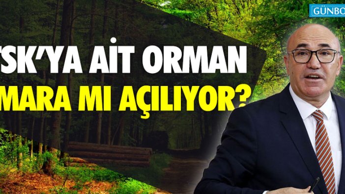 TSK'ya ait orman imara mı açılıyor?