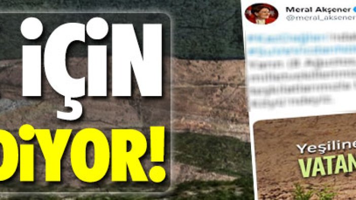 Meral Akşener Kaz Dağları'na gidiyor!