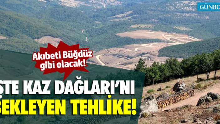 İşte Kaz Dağları'nı bekleyen tehlike!