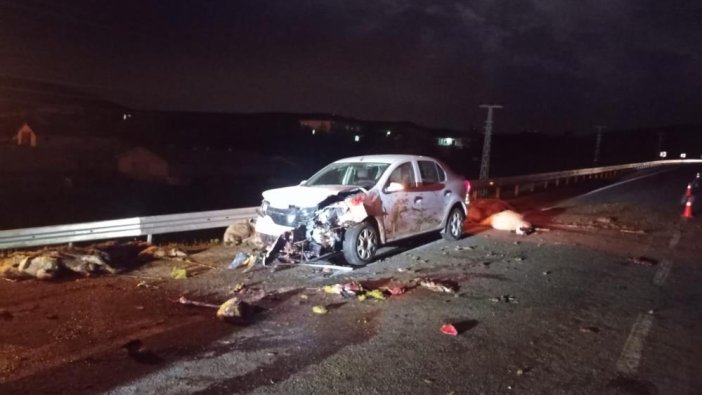 Elazığ'da araç sürüye daldı: 25 koyun öldü, 2 kişi yaralandı