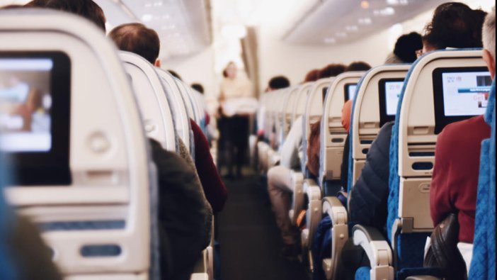 Hamam böceği ve tahta kurusunun ardından akrep faciası! Uçakta bir yolcuyu akrep soktu