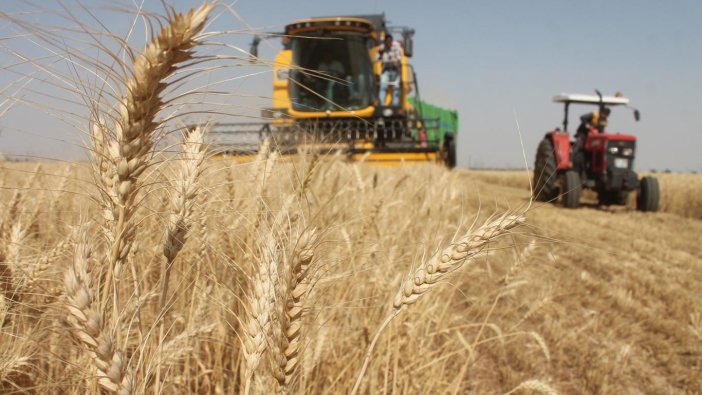 Mardinlilerden rekolte iddiası: Bu sene...