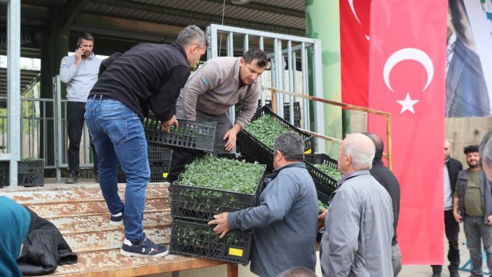 Çiftçiye yüzde yüz hibeli fide desteği