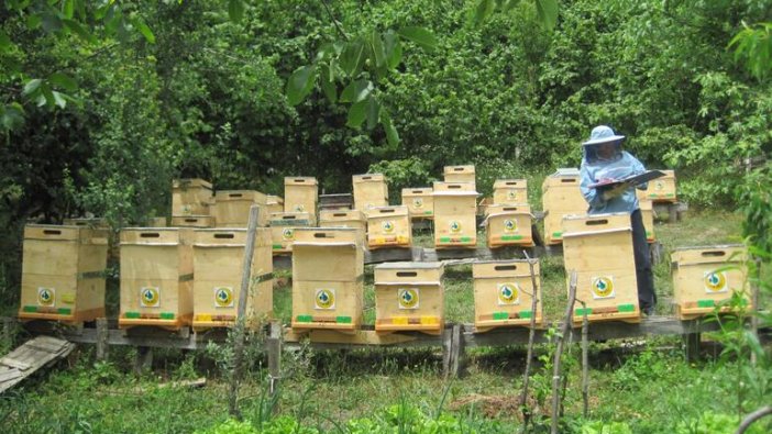 Depremzede arıcılara, bakanlıktan şeker desteği