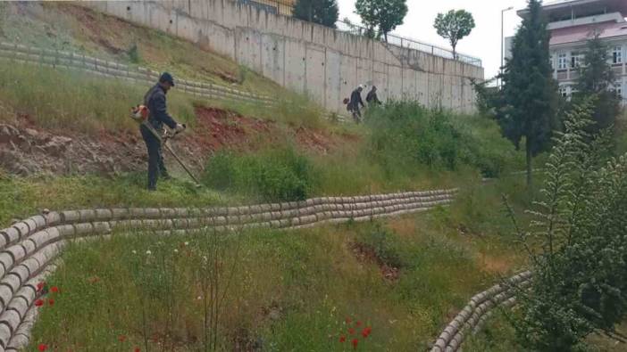 Deprem felaketinin yaşandığı illerde doğa sessiz kaldı