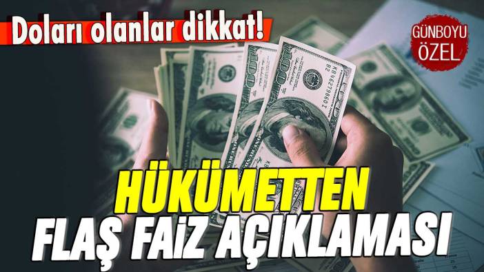 Doları olanlar dikkat: Hükümetten flaş faiz açıklaması