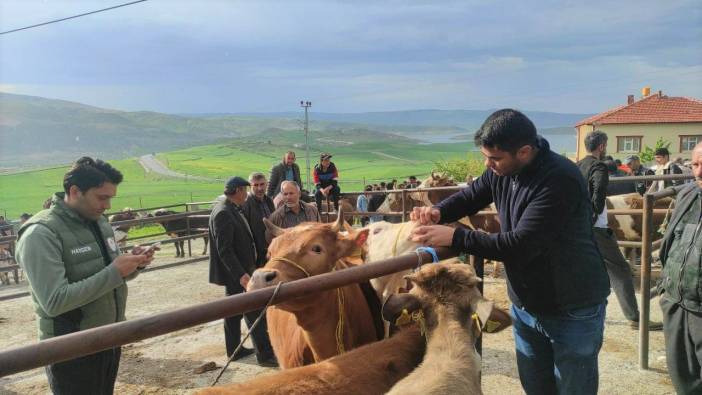 Hayvan pazarlarında şap hastalığına karşı sıkı tedbirler sürüyor