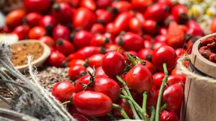 Rüyada kuşburnu toplamak ne anlama gelir