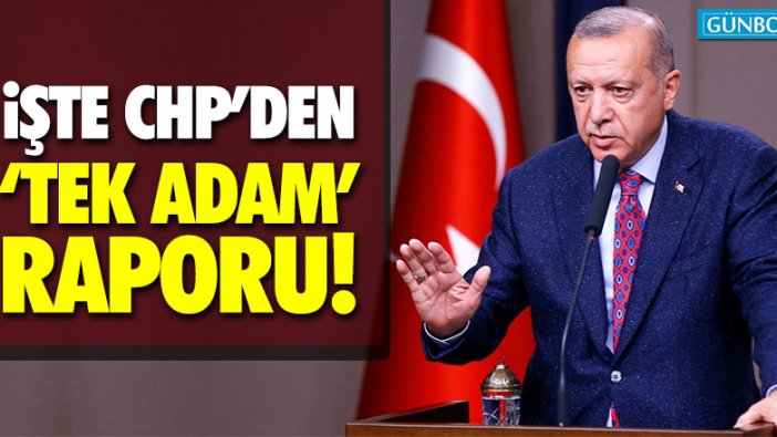 CHP'den 'Tek adam' raporu