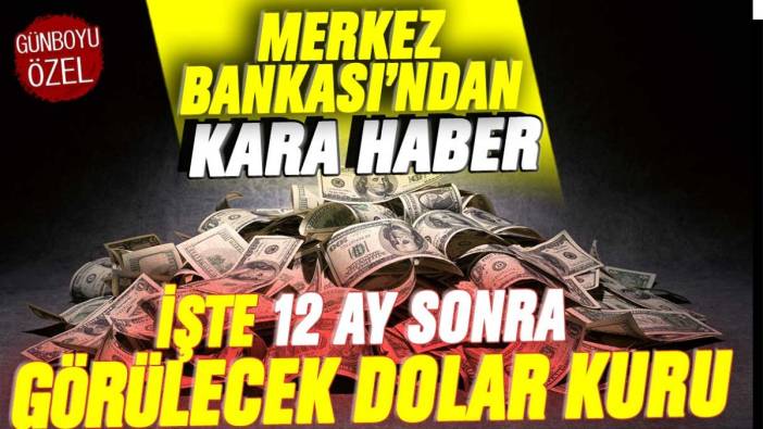 Merkez Bankası'ndan kara haber! İşte 12 ay sonra görülecek dolar kuru