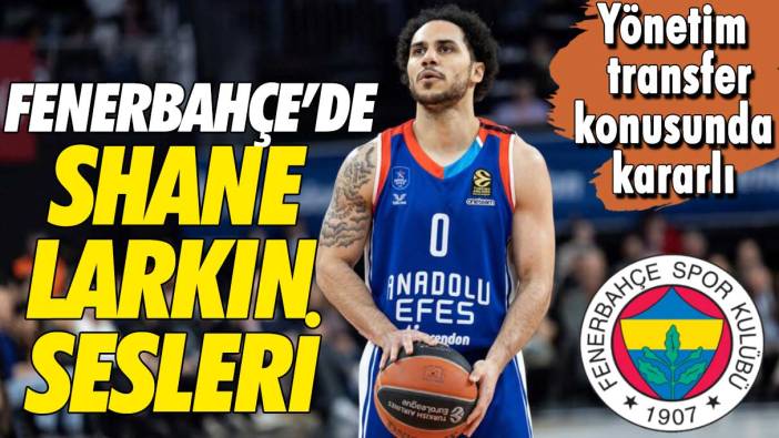 Fenerbahçe’de Shane Larkin sesleri