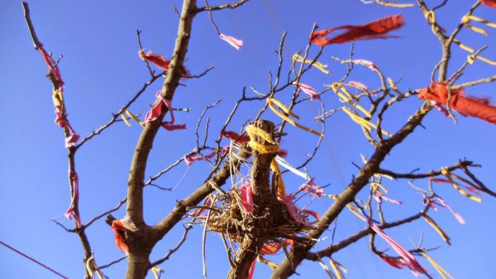 Rüyada dilek ağacı görmek ne anlama gelir?