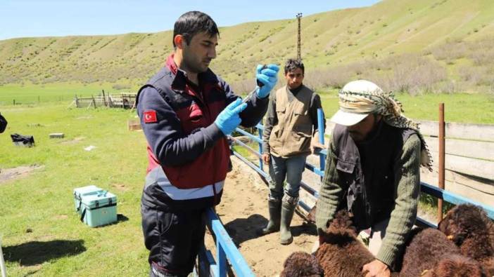 15 bine yakın aşı yapıldı