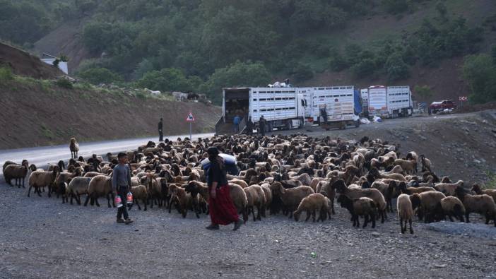 Şırnak yaylalarına göçer akını başladı