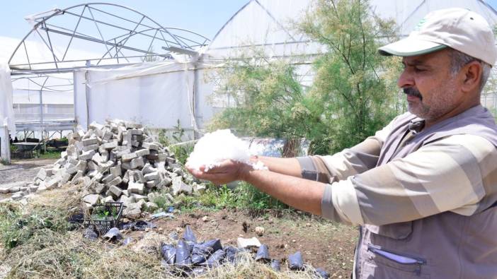 Şanlıurfa'da dolu, sera ve tarlalara zarar verdi