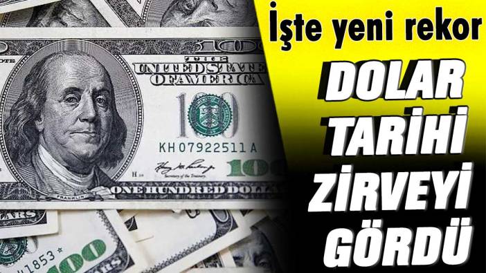 Dolar tarihi zirveyi gördü