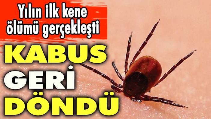 Kabus geri döndü! Yılın ilk kene ölümü gerçekleşti