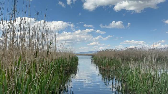 Kuraklık yaşanan Eber Gölü yeniden canlandı