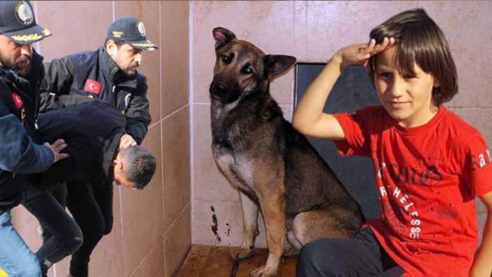 Küçük Emir’in ölümüne neden oldu; köpeğin sahibi yargılanacak