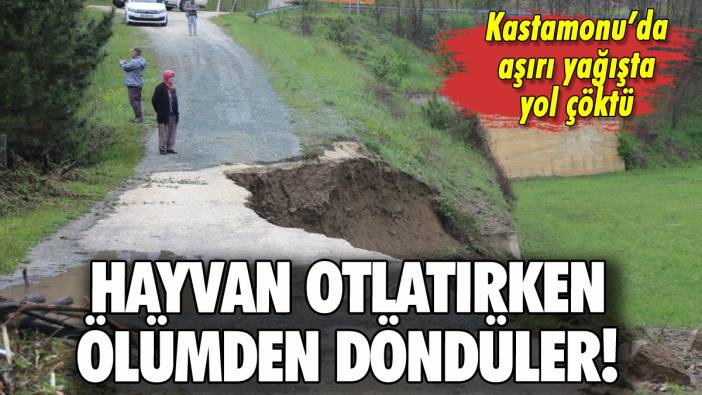 Hayvan otlatırken ölümden döndüler!