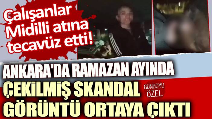 Çalışanlar Midilli atına tecavüz etti: Ankara'da Ramazan ayında çekilmiş skandal görüntü ortaya çıktı!