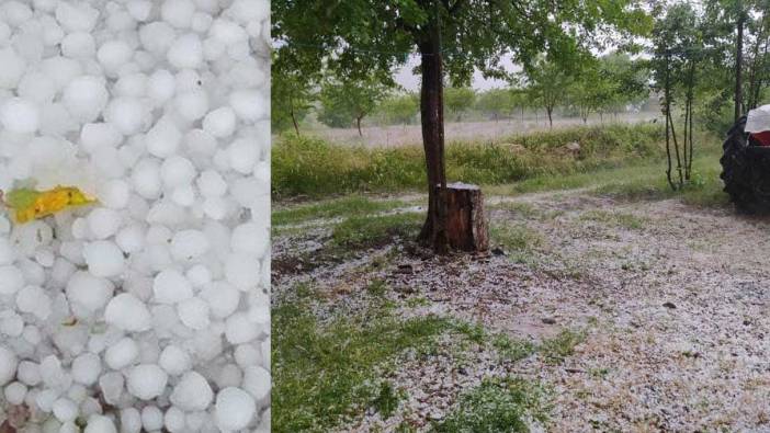 Elazığ’da dolu yağışı etkili oldu! Kayısı bahçeleri zarar gördü