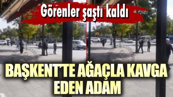 Başkent'te ağaçla kavga eden adam! Görenler şaştı kaldı