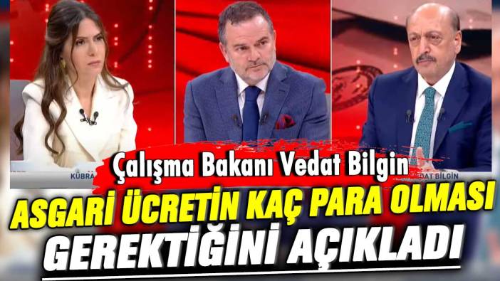 Çalışma Bakanı Vedat Bilgin asgari ücretin kaç para olması gerektiğini açıkladı