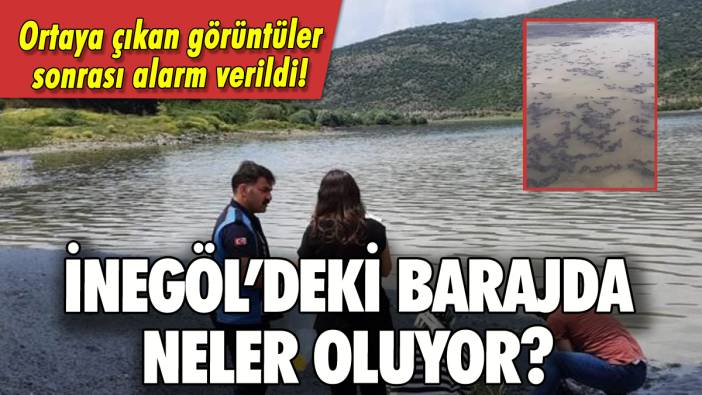 İnegöl'deki barajda neler oluyor? Görüntüler sonrası alarm verildi