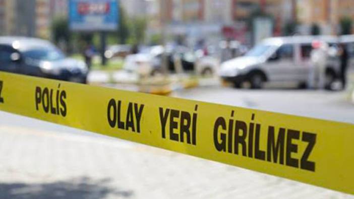 Afyonkarahisar'da otomobil şarampole girdi: 2 yaralandı