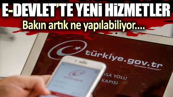 E-Devlet'te yeni hizmetler! Bakın artık ne yapılabiliyor...